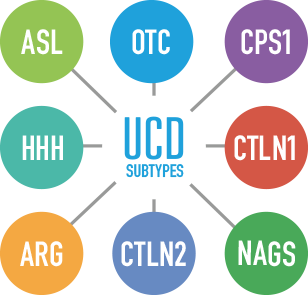 Map of Ornithine Transcarbamylase Deficiency, Citrullinemia, Arginase Deficiency and other UCD subtypes