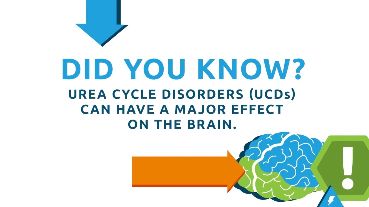 Map of Ornithine Transcarbamylase Deficiency, Citrullinemia, Arginase Deficiency and other UCD subtypes