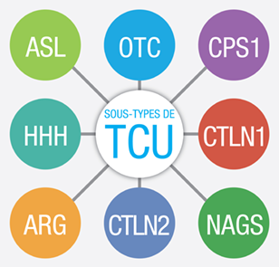 Map of Ornithine Transcarbamylase Deficiency, Citrullinemia, Arginase Deficiency and other UCD subtypes 