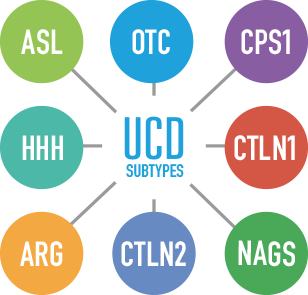 UCD subtypes: ASL, OTC, CPS1, HHH, CTLN1, ARG, CTLN2, NAGS.